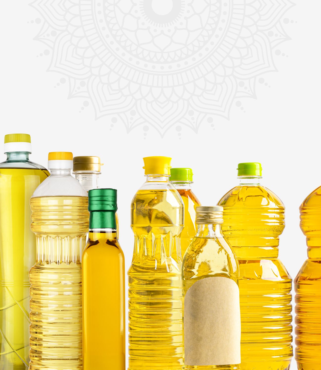Netaji Kacchi Ghani Cooking Oil Manufacturers