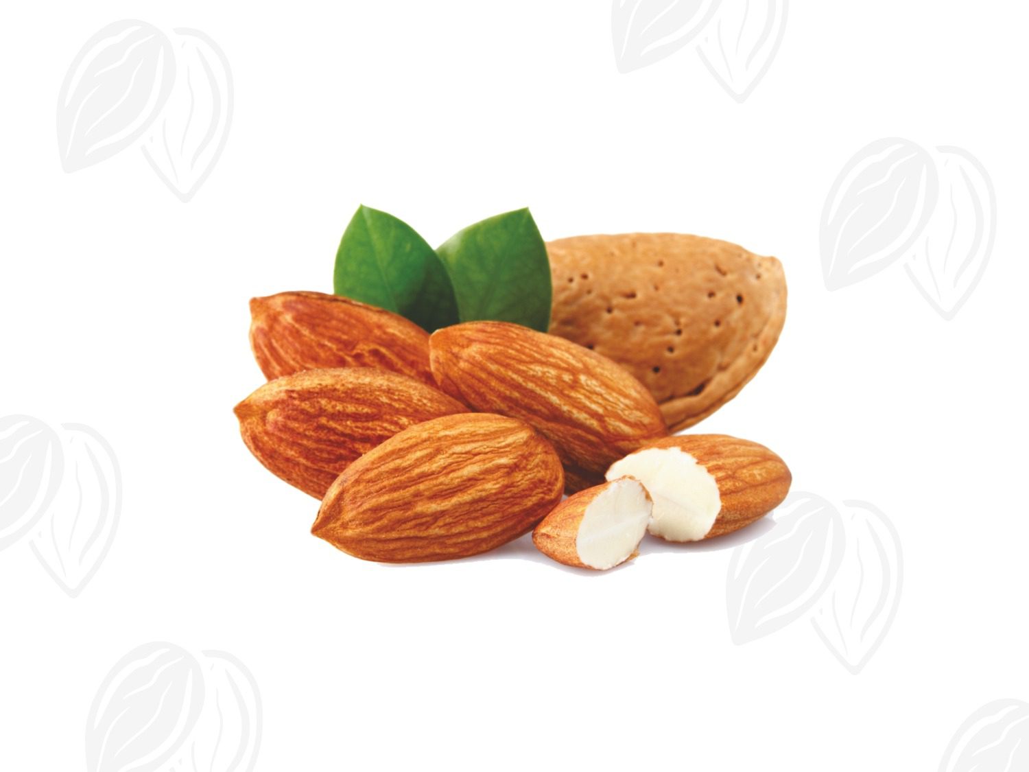 Netaji Almonds manufacturer
