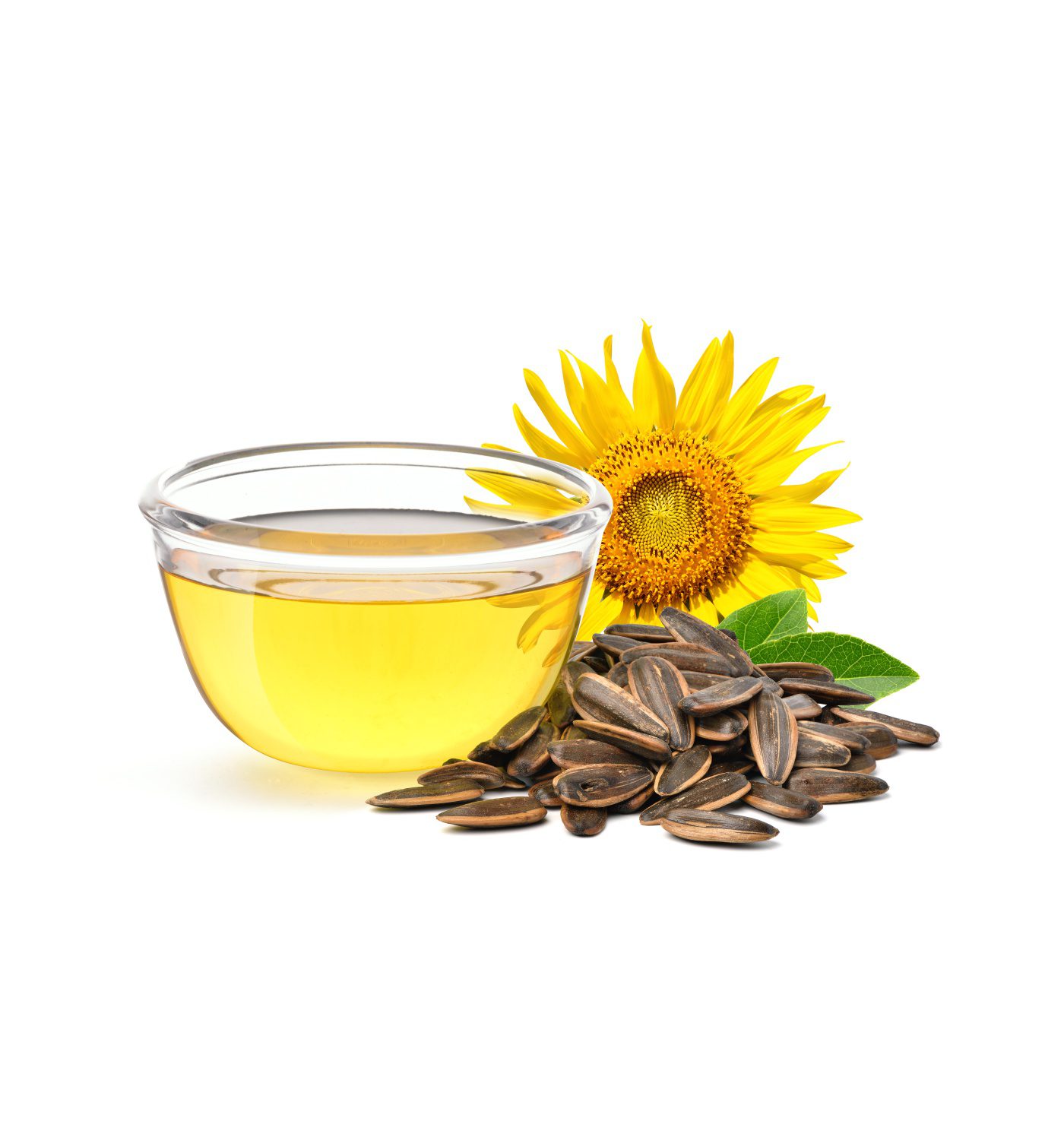 Ashoka Oil Industries Edible Oils Manufacturer