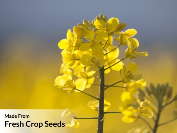 Ashoka Oil Industries - Netaji Brand Mustard, Sesame, Groundnut Oils (23)