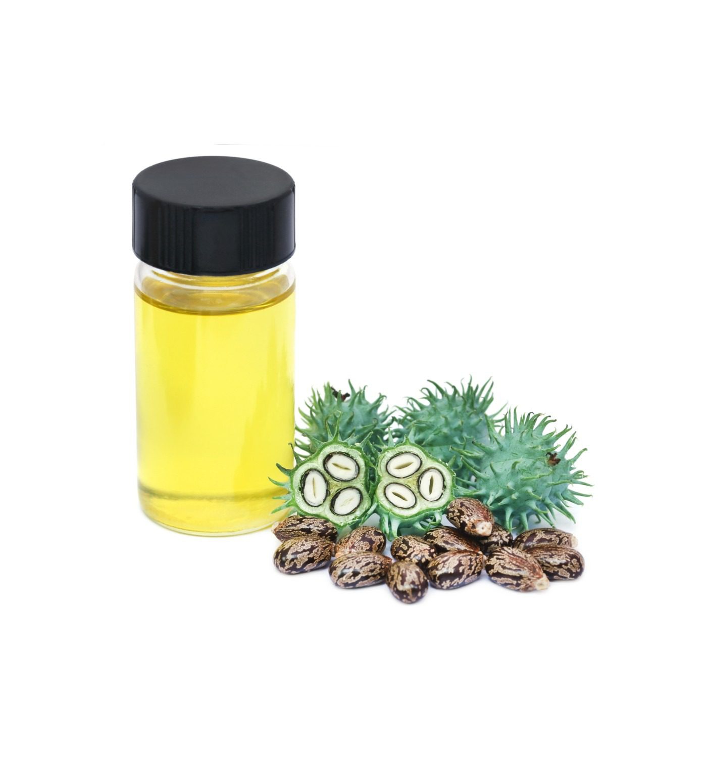 Netaji Castor Oil