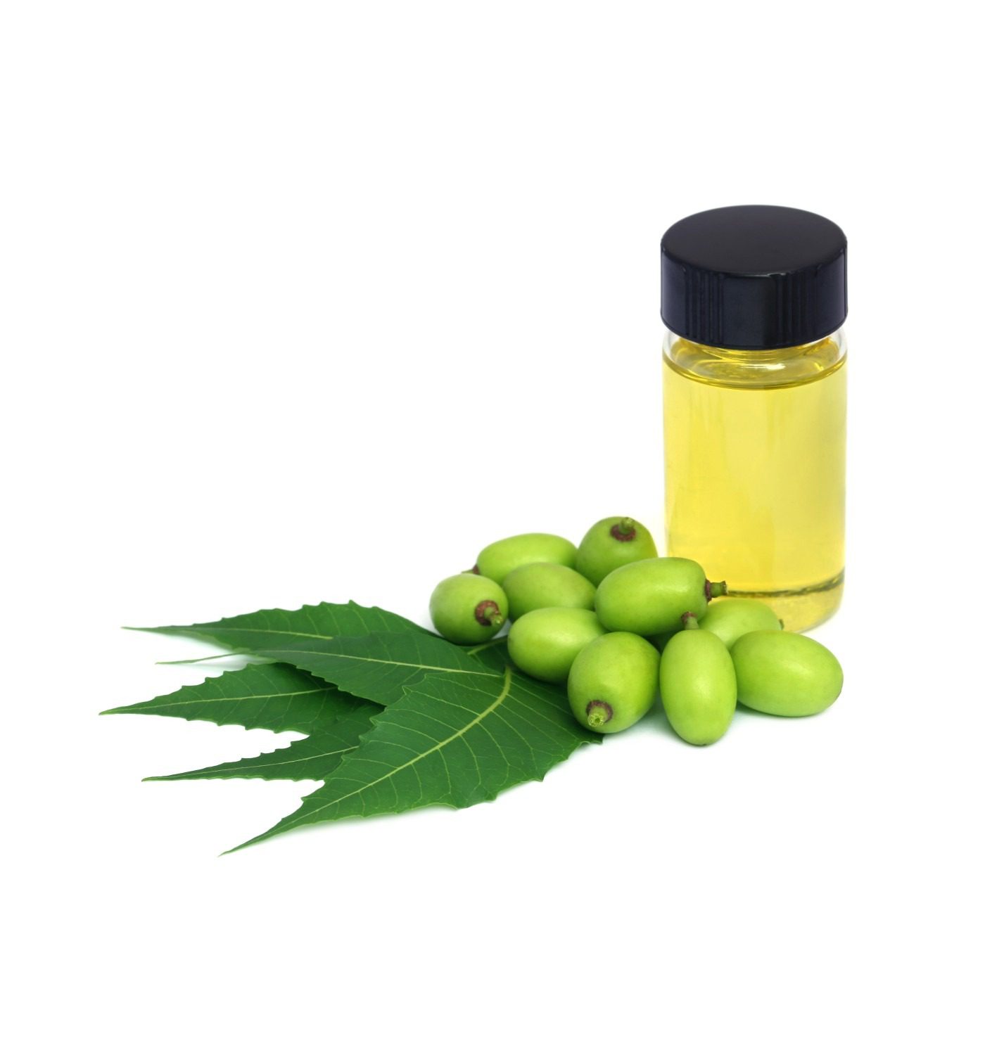 Netaji Neem Oil Suppliers
