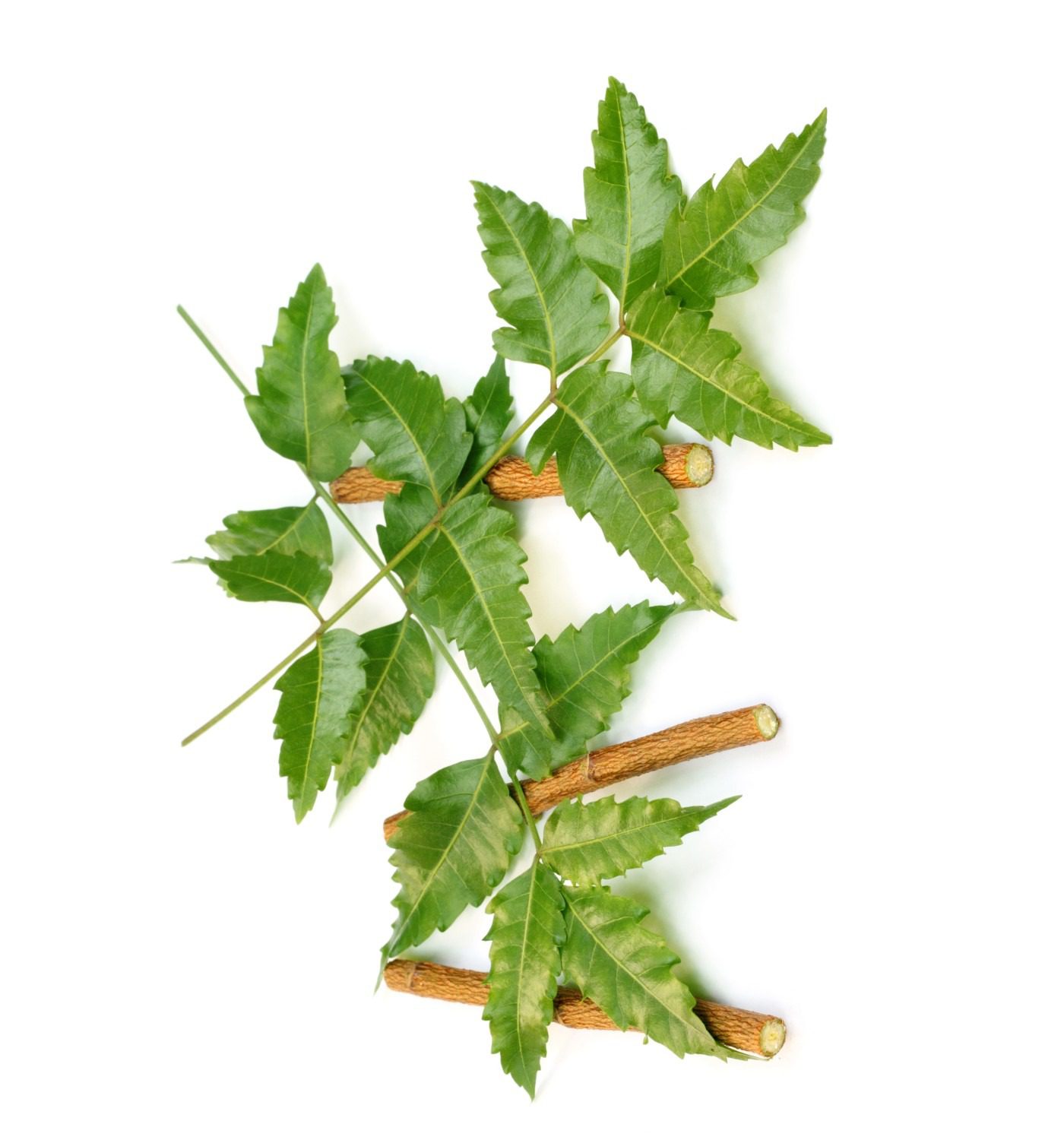 Neem