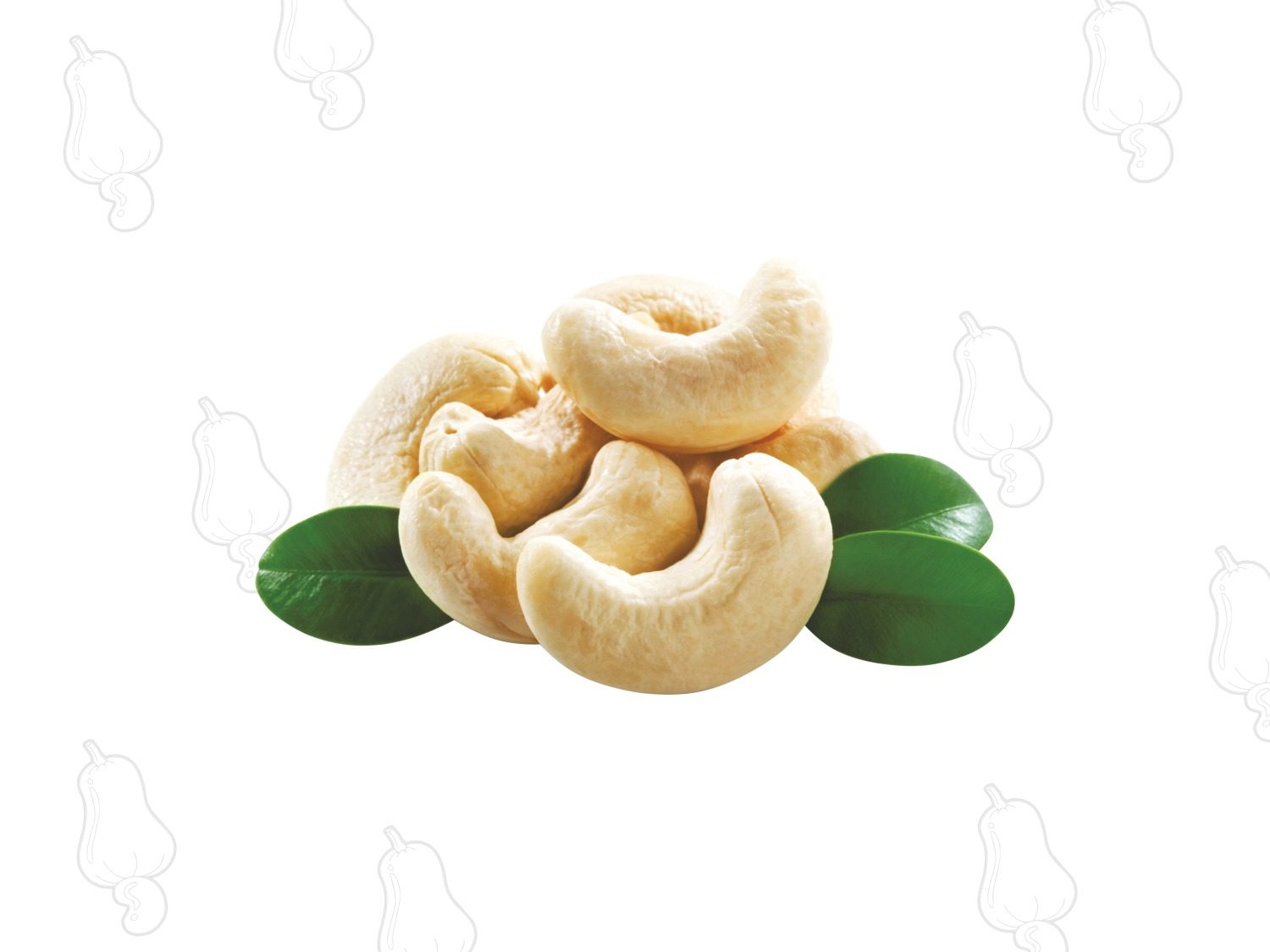 Netaji Cashew Nuts Online