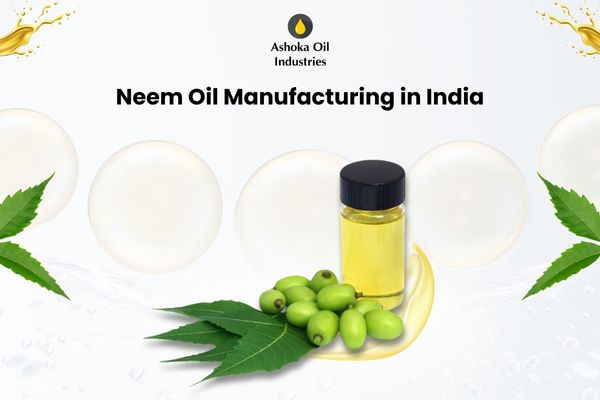 Mustard Oil Production and Its Significance