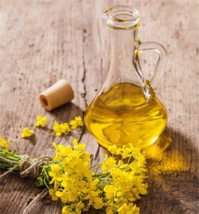 yellow mustard oil